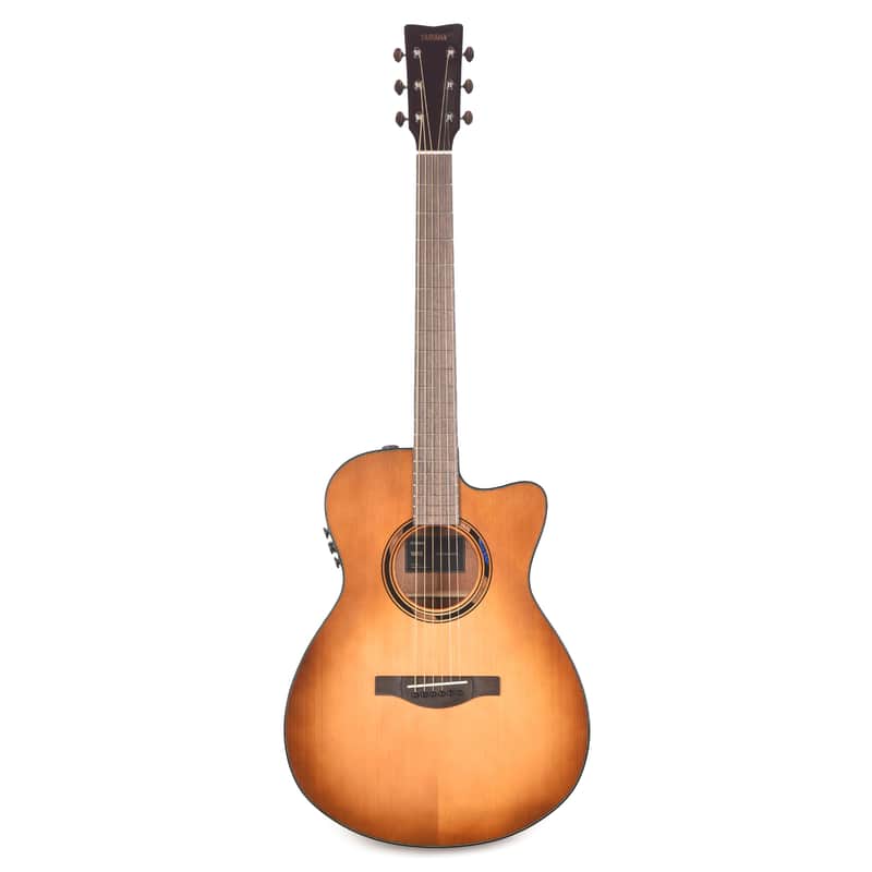 Yamaha TAS1 C Transacoustic Concert image 1