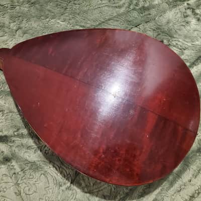 1920's Weymann Mandolute image 13