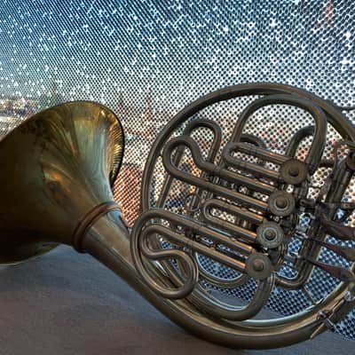 Paxman 100L F/Bb/bb Triple French Horn image 2
