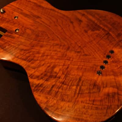 Rick Turner Renaissance  5 String Acoustic Electric Fretless Bass (RB 5-FL) Cherry Sunburst image 11