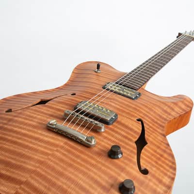 Nik Huber Rietbergen Standard Electric Guitar, Adam Miller Custom Signature image 6