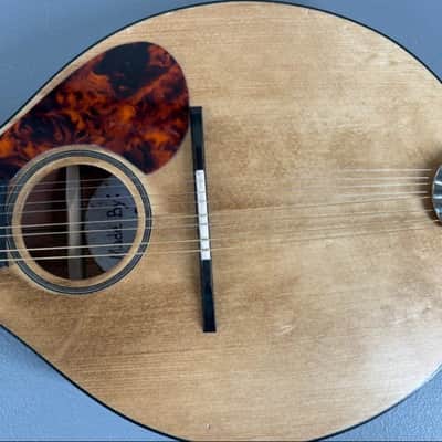 Custom-Built Flat-Back Mandolin with Case image 13