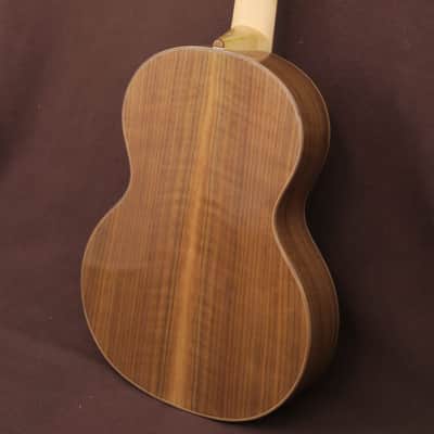 Martin Okenica - op. 36 / 2020, H. Hauser model 1920, spruce top, walnut back, glossy oil varnish image 6