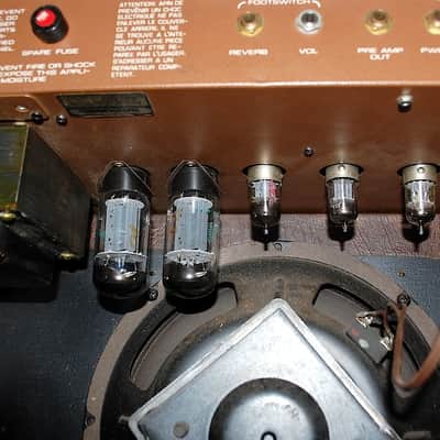 Vintage Acoustic G60T Model 163 Tube Guitar Amplifier image 11