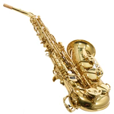 Eastman Model EAS650 'Rue Saint-Georges' Alto Saxophone SN A2440458 RENEWED image 20