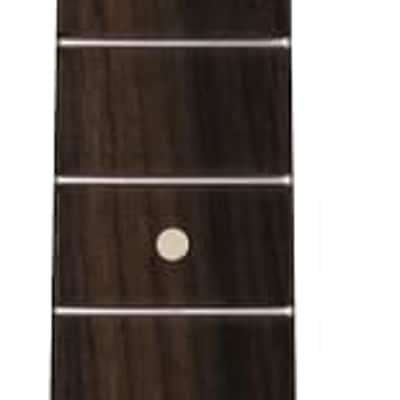 Fender American Professional II Telecaster Neck, 22 Narrow Tall Frets, 9.5 inch Radius, Rosewood image 1