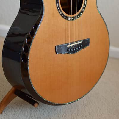 Kevin Ryan Paradiso Signature Series image 7