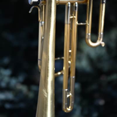 Bb Bass Trumpet - Scratched and Buffed Lacquer - NEW student model / great as a secondary or marching horn image 3