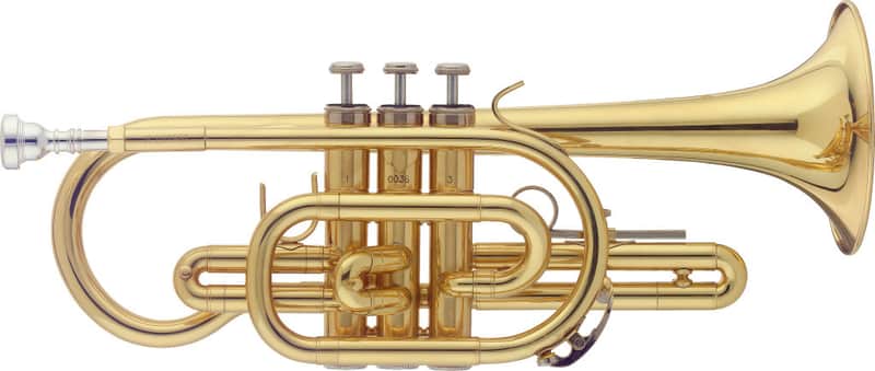 STAGG Bb Cornet In ABS Case: Clear Lacquer Finish, Perfect For Students 2 Year Warranty image 1