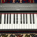 Yamaha P-121 Digital Piano 2018 - Present - Black W/ Power Supply