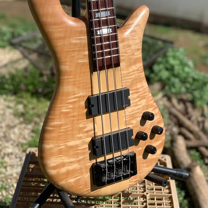 Spector Euro-LX 435 2009 35" Scale Hard Case image 1