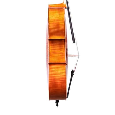 Professional song maestro Stradivari Model Cello 4/4 Made in Europe + Case image 6