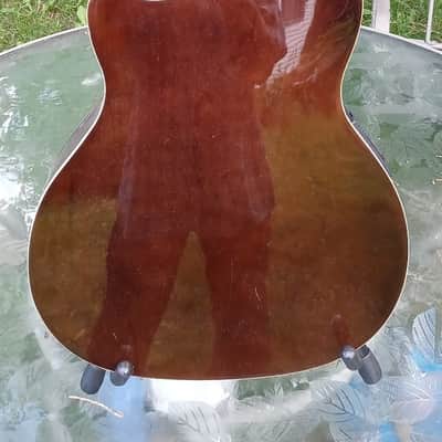 Rogue Acoustic/ Electric image 6