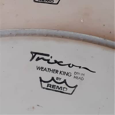 Trixon 20" Bass Drum Heads Made by Remo in the Late 60s image 3
