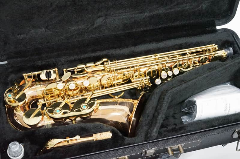 【Special price】 Yanagisawa A-WO2 [AWO2] Professional Alto Saxophone image 1