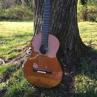 Jose Ramirez R1 Classical Guitar - Solid Cedar Top image 1