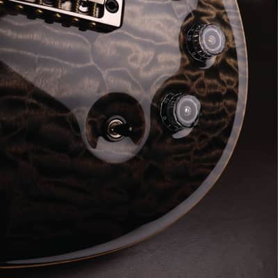PRS RARE 2016 Private Stock DGT in Frostbite Fade w/Quilt Maple Top, Stained Quilt Maple Fretboard w/Ebony Binding, Flame Maple Neck, Swamp Ash Back with Matching Backplates, Black PRS Tremolo + Phase III Locking Tuners & MOP w/Paua Outline Bird Inlays image 23