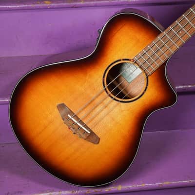 2021 Breedlove Discovery S Concert ED Acoustic/Electric Bass Guitar (VIDEO! Fresh Work, Ready) image 2