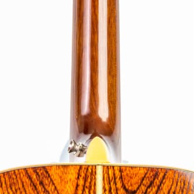 Daion MUGEN Mark III - Six String Acoustic image 8