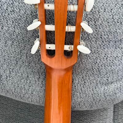 Don Cortez Santana Model 46 AE/Sapele Acoustic Electric Nylon String Cutaway Guitar wGB image 7