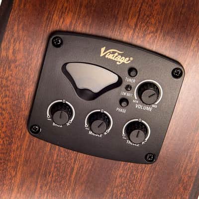 Vintage VGA990 Electro-Acoustic Sweetwater Guitar ~ Natural image 6