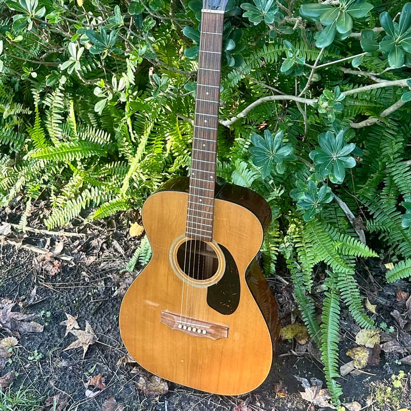 1973 Guild F-20 Troubador Natural