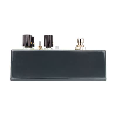 Earthquaker Devices Ledges Tri-Dimensional Reverberation Machine Effects Pedal image 5