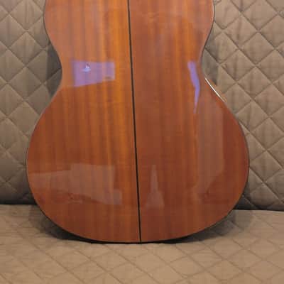 Washburn AF5K Apprentice Series Folk Body Spruce Top Mahogany Neck 6-String Acoustic Guitar w/Hard Case image 6