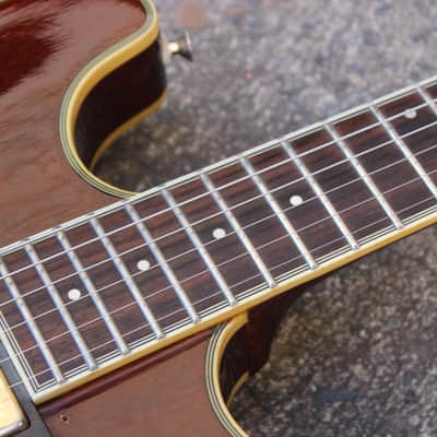 1991 Aria Pro II TA-550 335 Style Hollowbody (Walnut) MIJ Japan