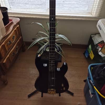 Carvin LB-5 Neck Trhu Bass image 1