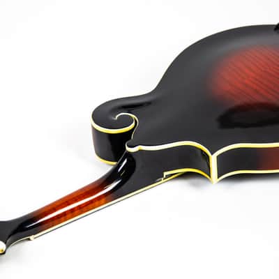 Michael Kelly F Style Mandolin Owned by Matt Freeman Of Rancid image 16