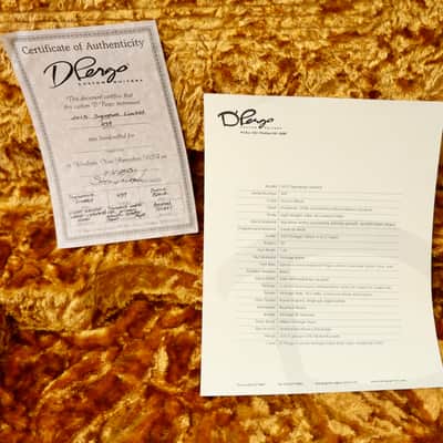 D’Pergo 2013 Signature Limited image 18