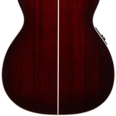 D'Angelico Premier Tammany Std. TrBlkCherryBu image 2