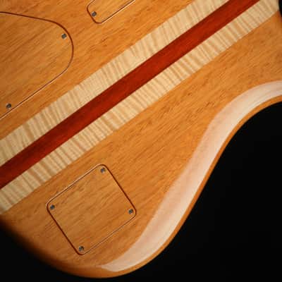 Alembic Spectrum - Cocobolo Top with Mahogany Body - Blue and Red Side LEDs - Guitar with Hard Shell Case image 12