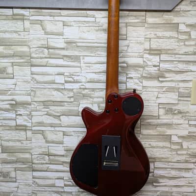 Godin xtSA 2006 - Light Burst with OHSC image 14