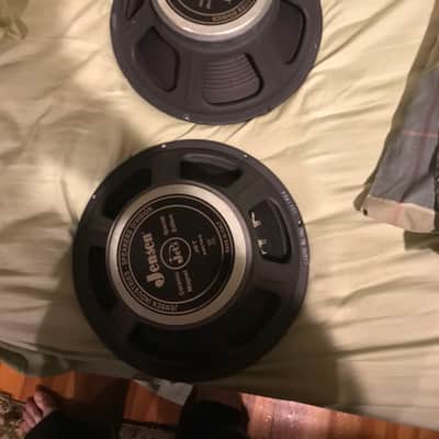 Jensen Electric Lightning Pair 12” 16 ohm image 1