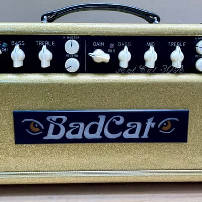 Bad Cat Hot Cat 30R - Custom Shop Gold Sparkle Cabinet image 2