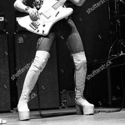 Gibson Thunderbird II Bass 1964 - the mintest 100% original Polaris White Reverse Thunderbird II Bass on Earth ! image 20