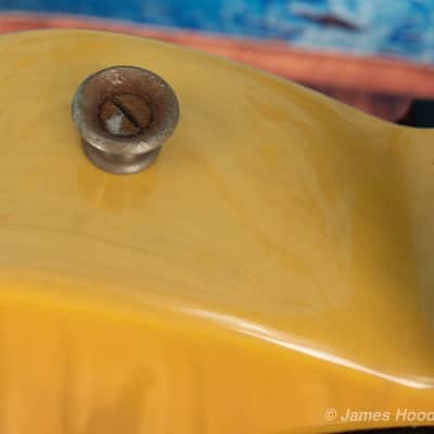 Fender Telecaster Signed By Bruce Springsteen 1996 Butterscotch Blond image 12