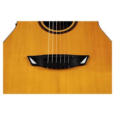 Cort Frank Gambale Signature LUXE II Acoustic-Electric w/Case, Video Demo, Fishman Flex Blend System image 19