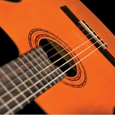 Washburn C5CE Classical Cutaway Acoustic Electric Guitar. Natural image 5