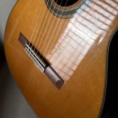 2004 Eric Sahlin Concert Classical 640mm image 18