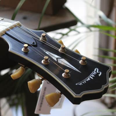 EASTMAN "LIMITED 50 pieces ONLY T59/TV-B Limited Edition, Gold Hardware" HARDCASE, 4, 05 KG image 9