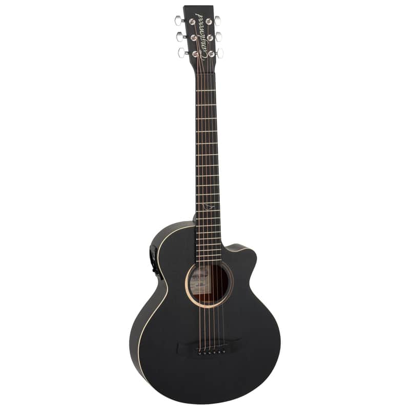 Travel-Sized Electro Acoustic Guitar Deal Alert!