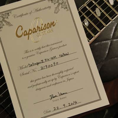 Caparison Dellinger II FX-WM  Natural image 13