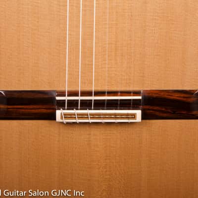 Otto Vowinkel 1A Concert Guitar , Cedar/Brazilian rosewood B & Sides image 21