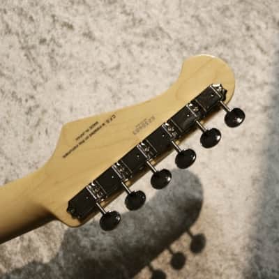 FUJIGEN(FGN) Neo Classic Series NTE110MMHT ~Natural~ #G230603 [3.34kg] [Made In Japan] image 8
