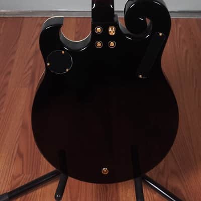 Gold Tone EBM-5 Electric Banjo image 5