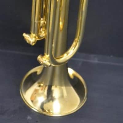 Trompeta Sib Stomvi Master Titanium muy buen estado. image 14