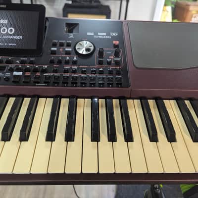 Korg PA1000 61-Key Professional Arranger 2017 - Present - Red image 9